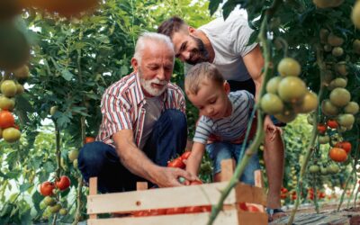 Transfert de savoir-faire : un enjeu stratégique face au départ des baby-boomers