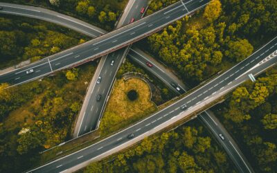 Ce que votre PMO révèle vraiment de votre organisation